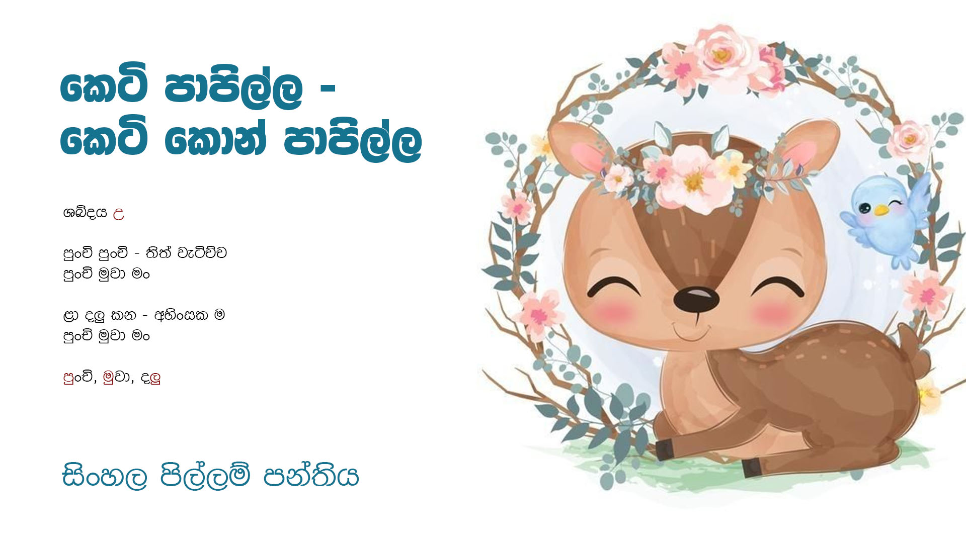 කෙටි පාපිල්ල(කෙටි කොන් පාපිල්ල)