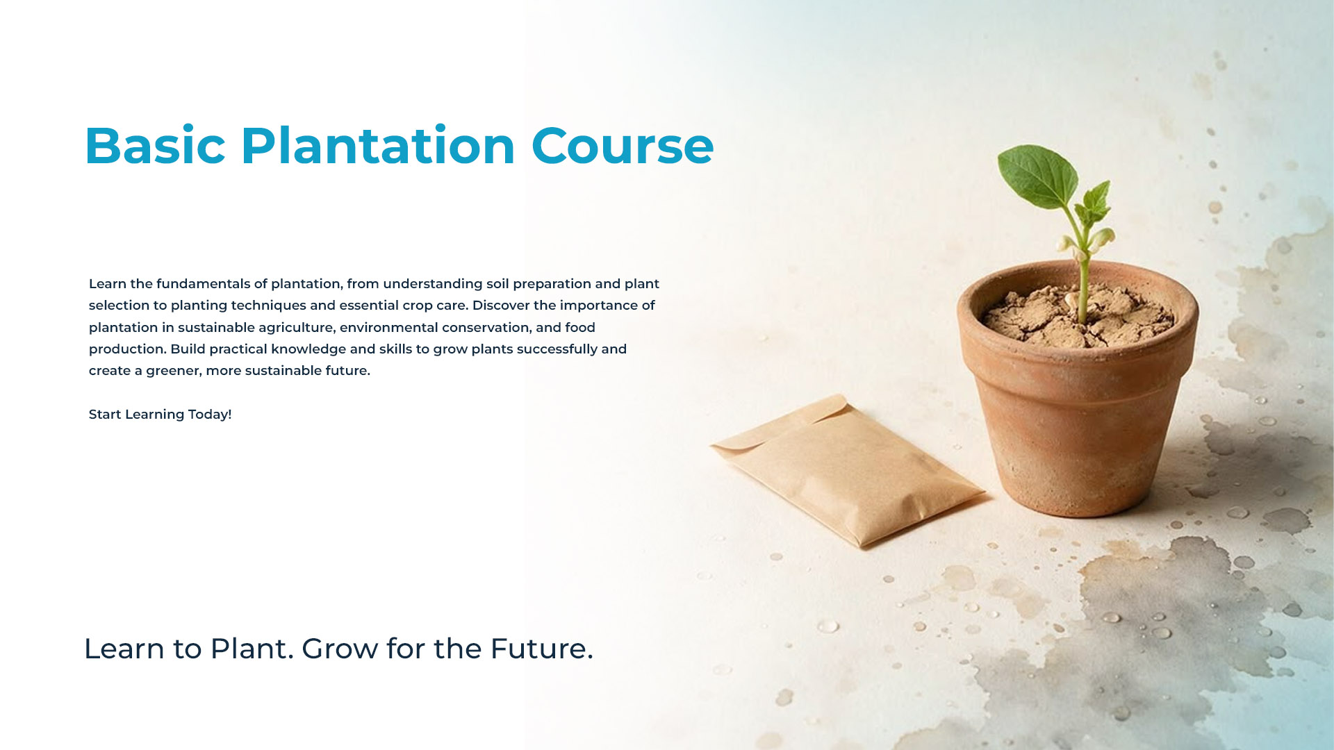 Basic Plantation Course Group 01 - Oct 17, 2026