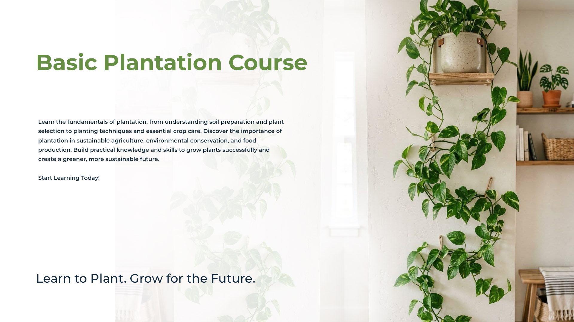 Basic Plantation Course Group 01 - Nov 7, 2026