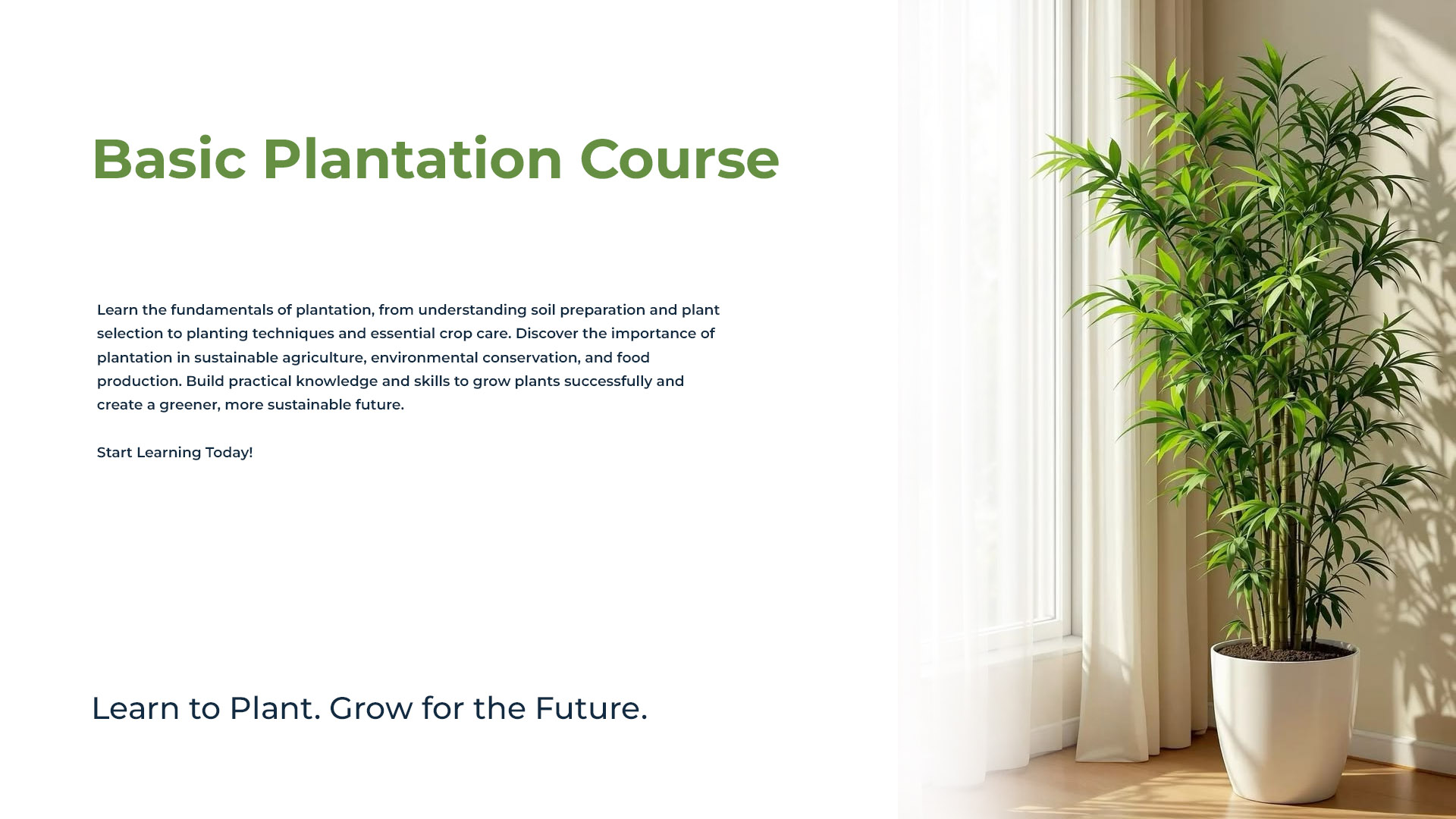 Basic Plantation Course Group 01 - Nov 14, 2026