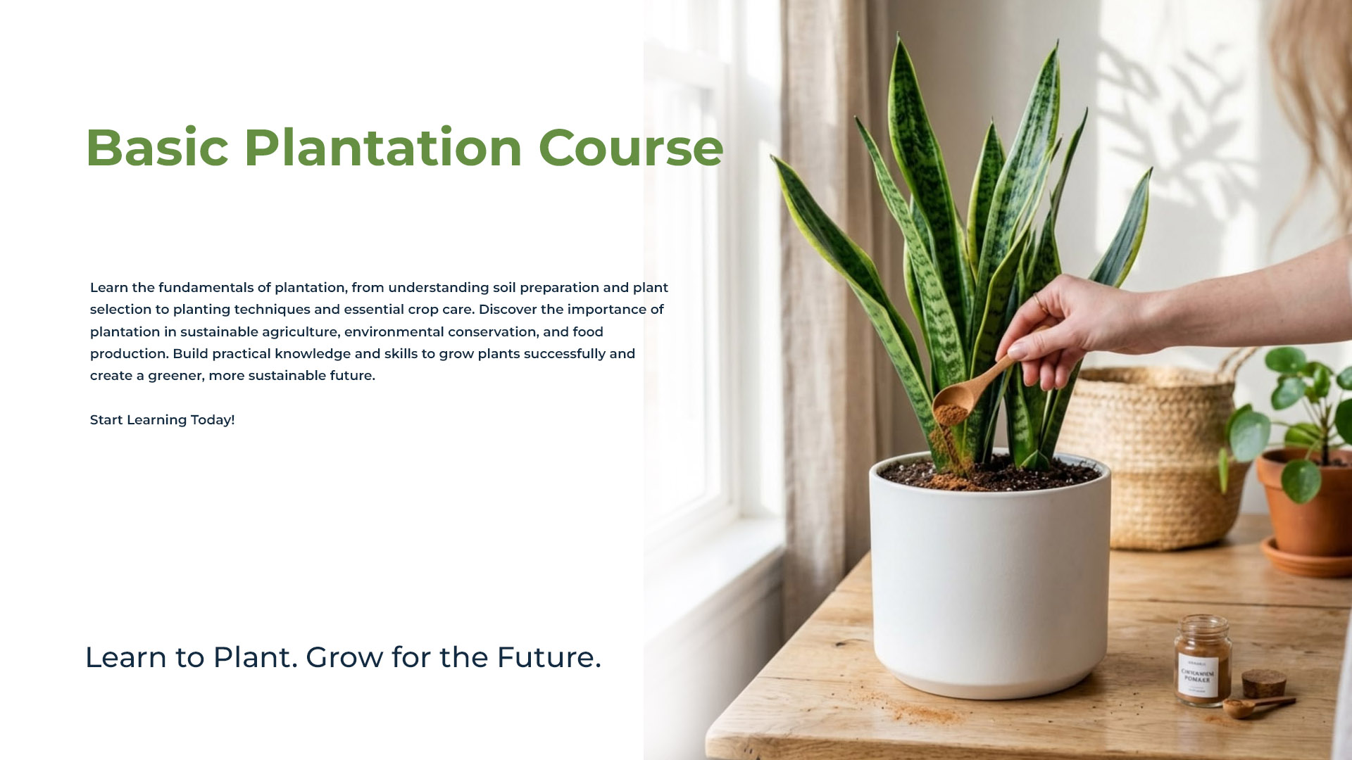 Basic Plantation Course Group 01 - Nov 21, 2026