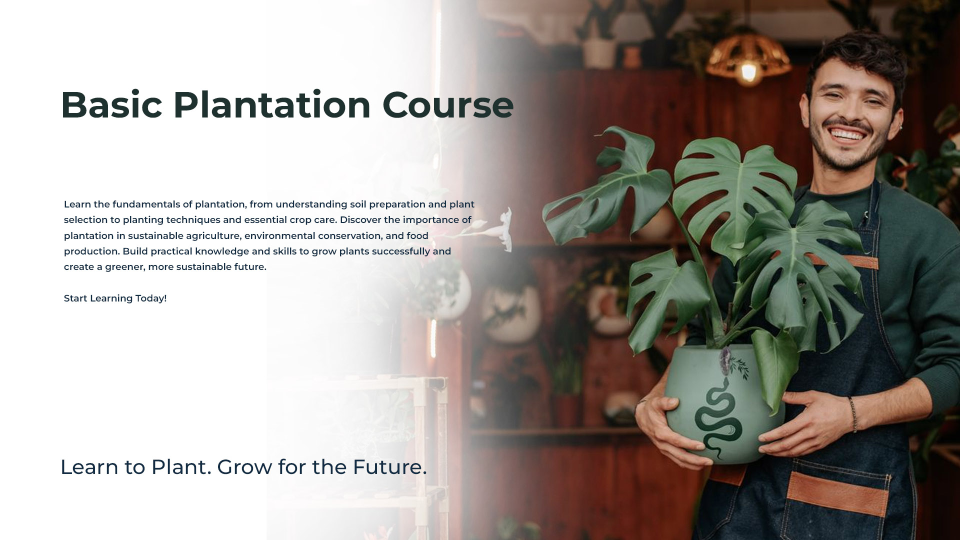 Basic Plantation Course Group 01 - Nov 28, 2026