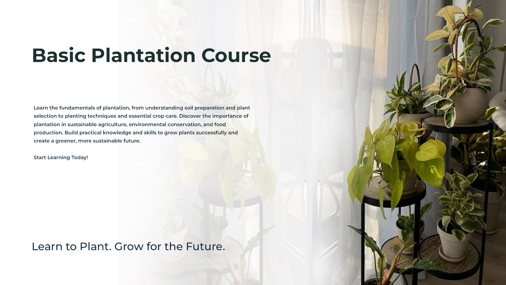 Basic Plantation Course Group 01 - Dec 12, 2026