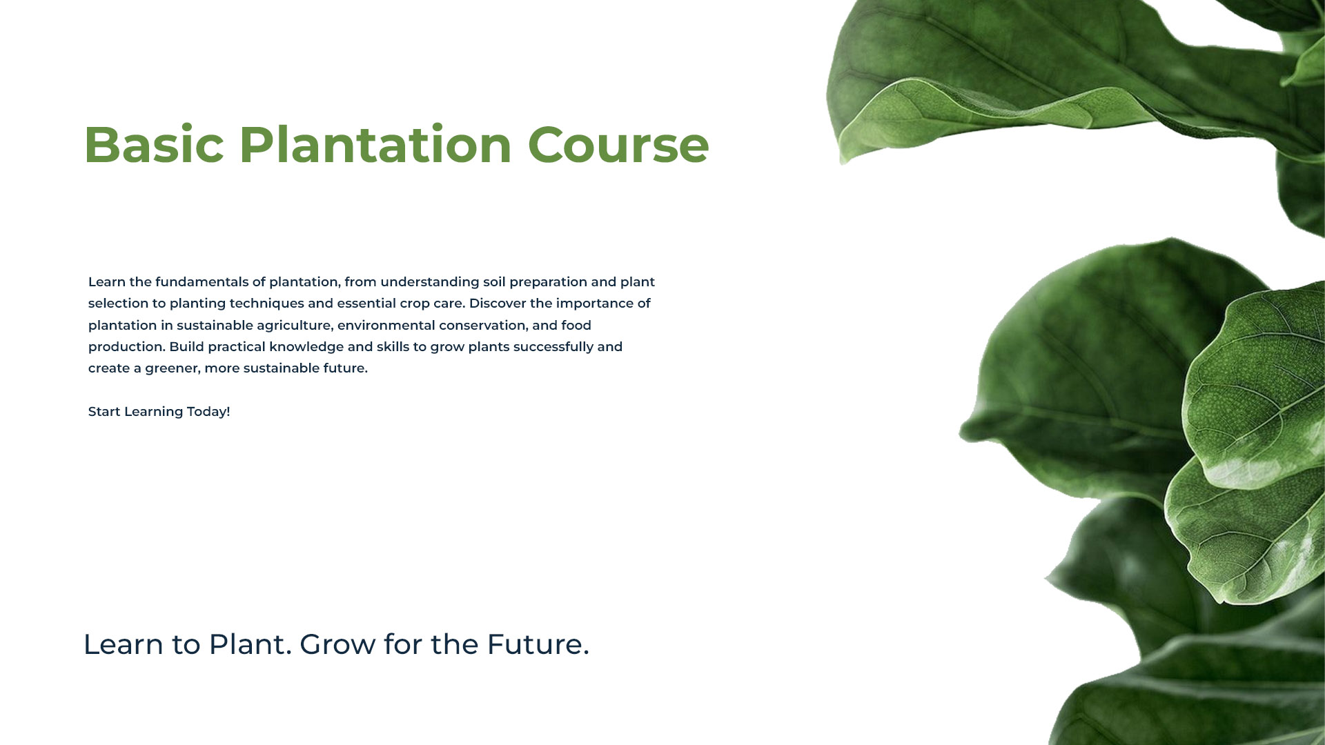Basic Plantation Course Group 01 - Jan 9, 2027