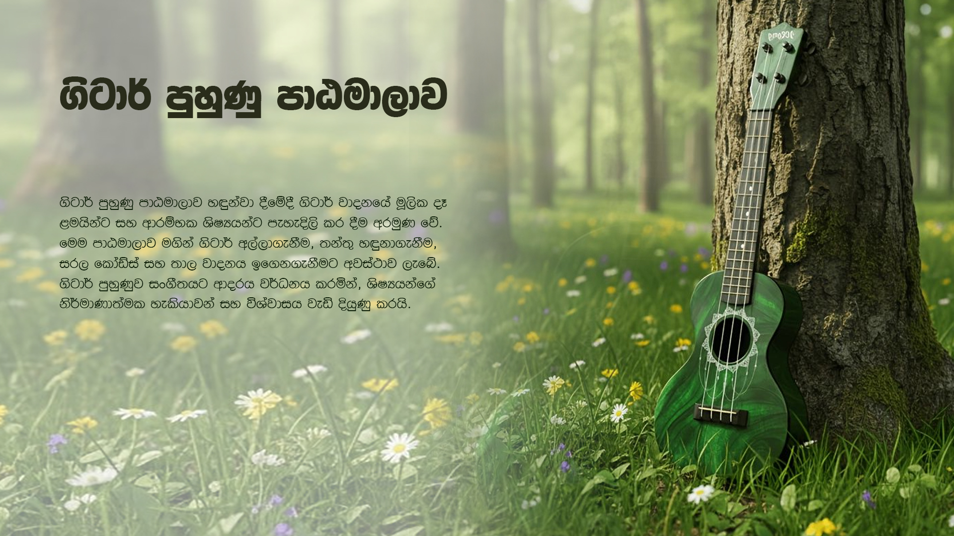 ගිටාර් පුහුණු පාඨමාලාව